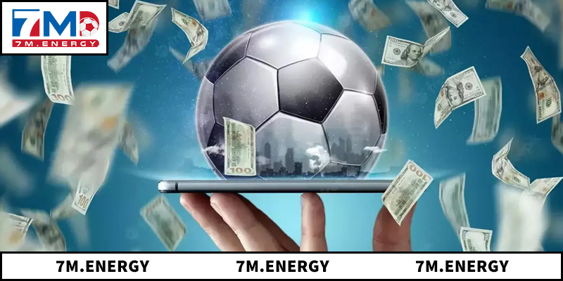 Livescore 1 Tổng quan về hệ thống livescore